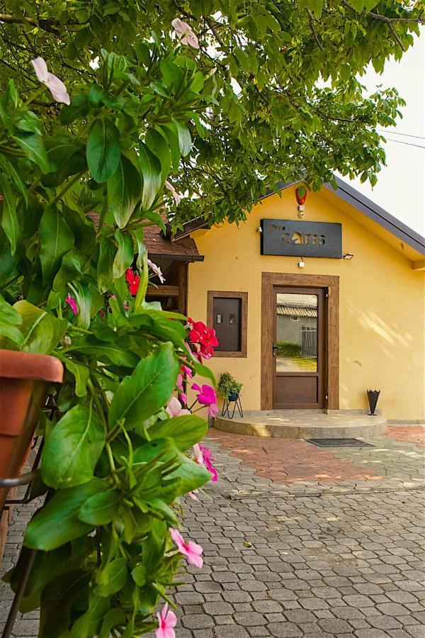 Vila Chess Belgrad Exteriör bild
