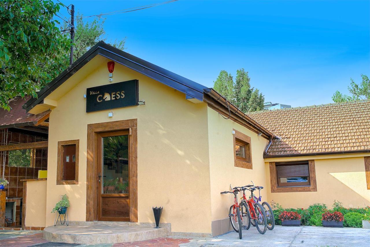 Vila Chess Belgrad Exteriör bild