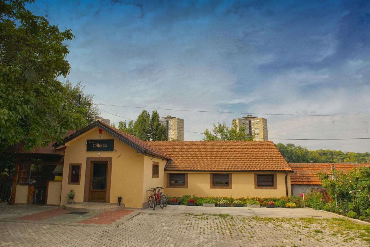 Vila Chess Belgrad Exteriör bild