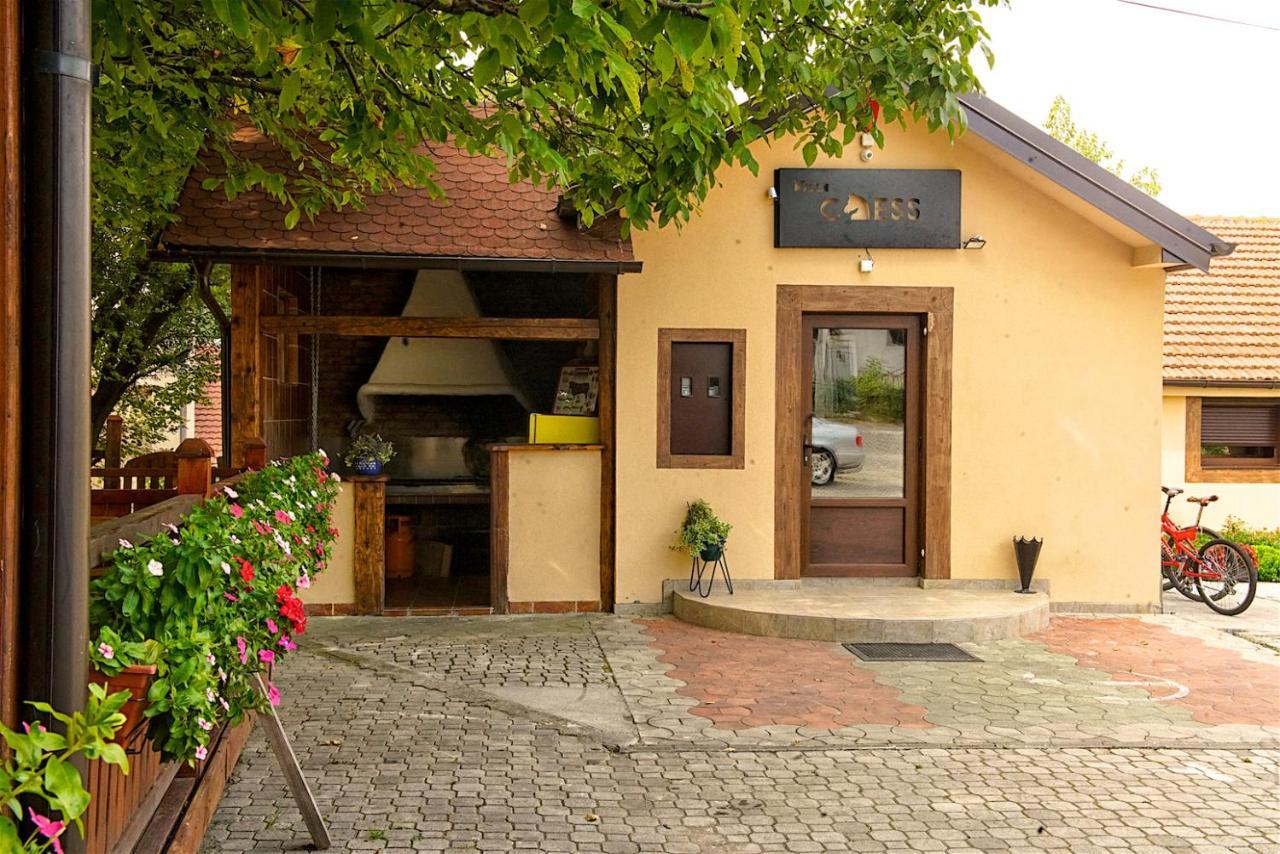 Vila Chess Belgrad Exteriör bild