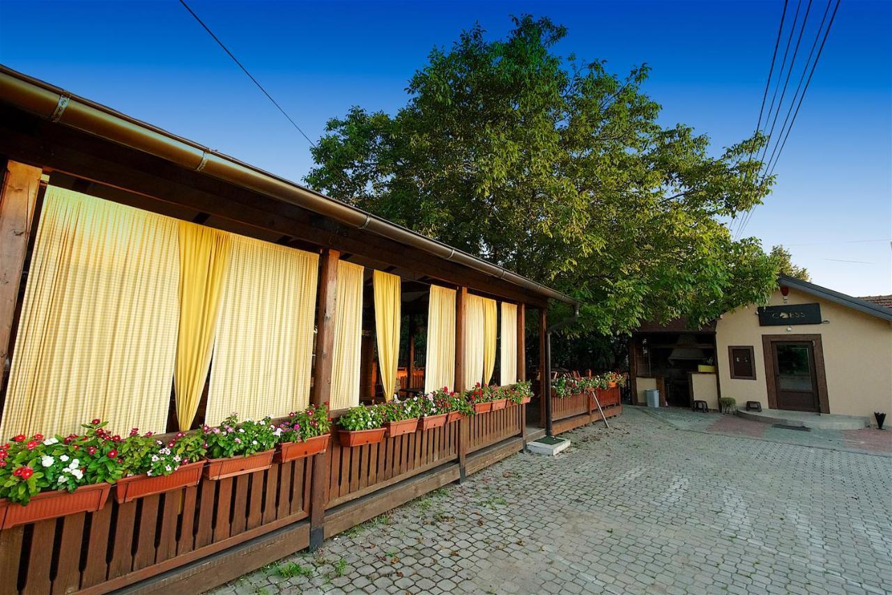 Vila Chess Belgrad Exteriör bild