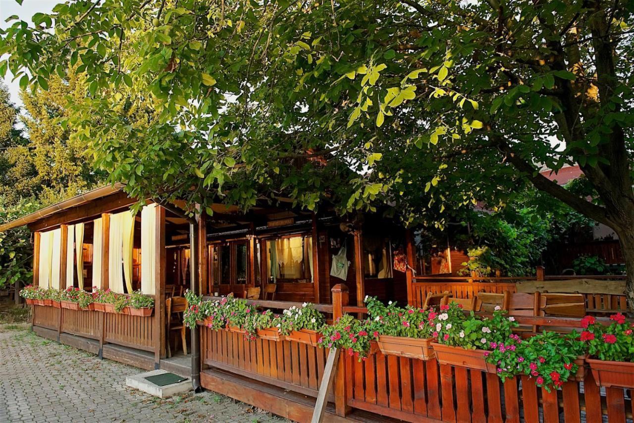 Vila Chess Belgrad Exteriör bild