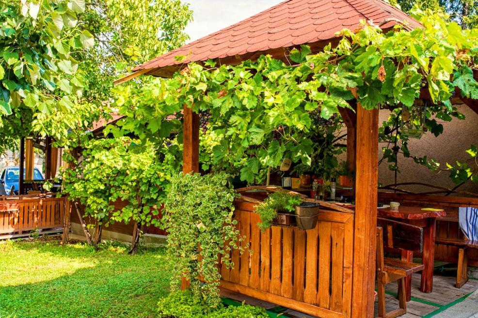 Vila Chess Belgrad Exteriör bild